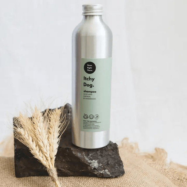 Paws Right There Dog Shampoo - Itchy Dog