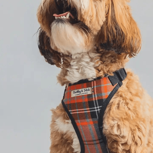 Barkley & Fetch - Orange & Grey Tartan - Harness
