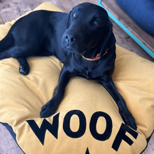 Creature Clothes Big Woof Dog Bed - Mustard Velvet