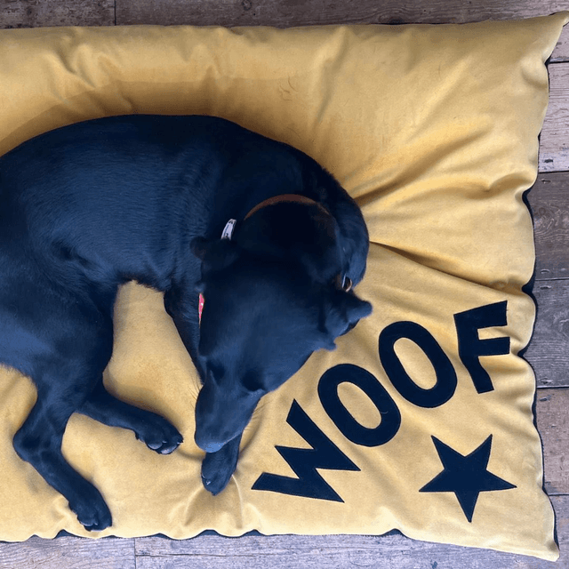Creature Clothes Big Woof Dog Bed - Mustard Velvet