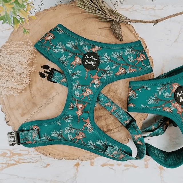 Pet Pooch Boutique - Cheeky Monkey Harness