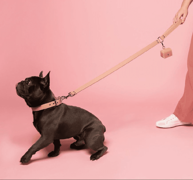 Skylos Collective Blush Pink Vegan Apple Leather Lead 
