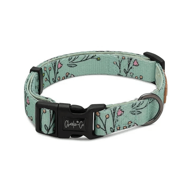 Charlie &amp; Co - Are You FLOREAL - Collar