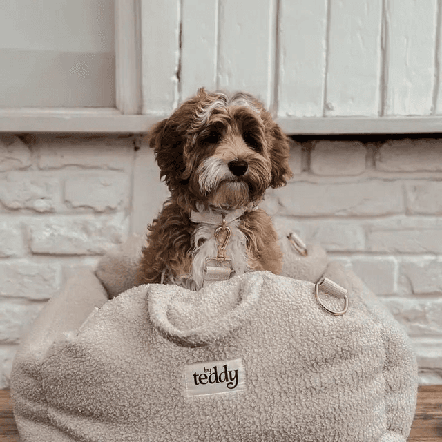 By Teddy Cosy Car Seat 