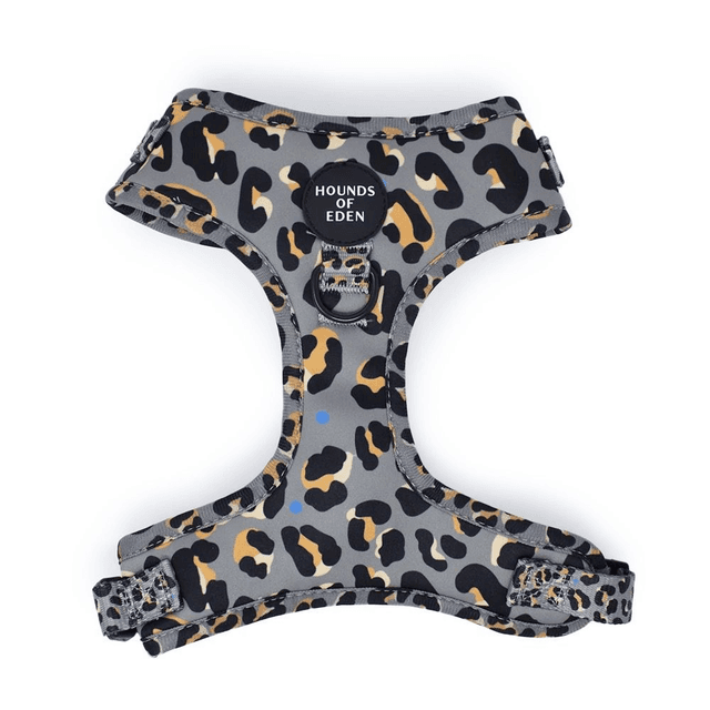 Hounds of Eden Harness - Steel Leopard